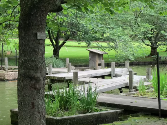 Pleasant large botanical garden with super area for kids.