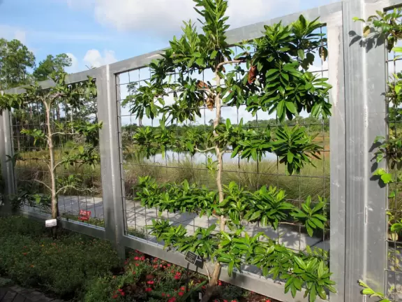 Stunning tropical-themed gardens and cute children's area.