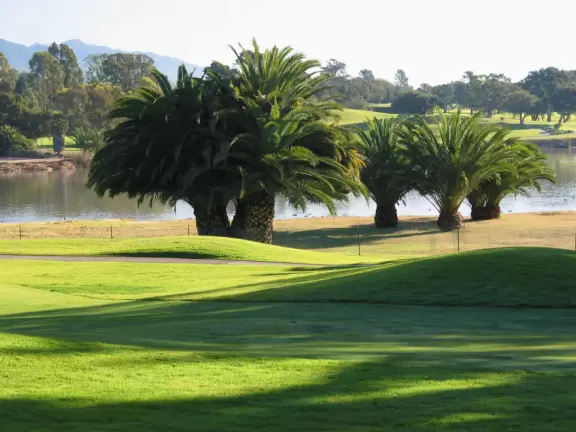 A drive along roads lined with hundreds of canary palms, through an old oak forest, past a clifftop lookout, amongst multimillion-dollar homes.