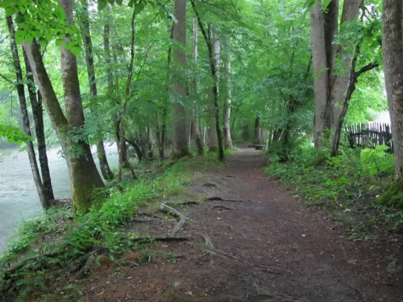 A beautiful river and late 19th century log farm buildings.