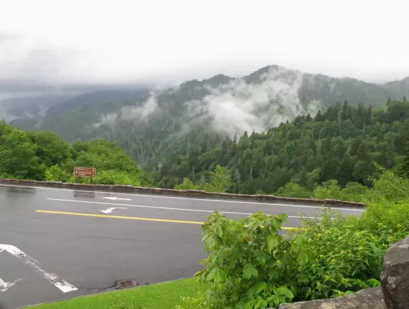 Lovely drive past misty mountain views and gorgeous trees.