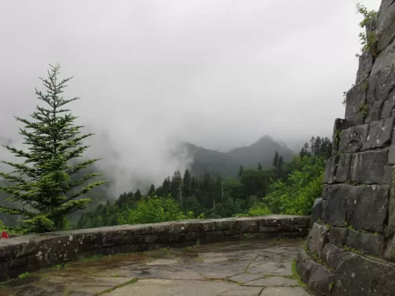 Lovely drive past misty mountain views and gorgeous trees.