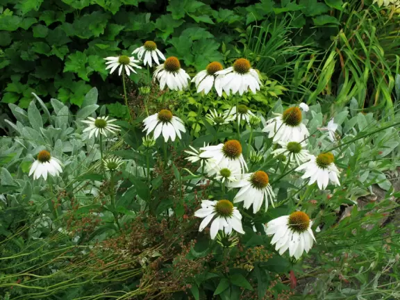 Grand estate with beautiful furnishings, countryside views, indoor pool, and gardens.