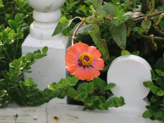 Stunning tropical-themed gardens and cute children's area.