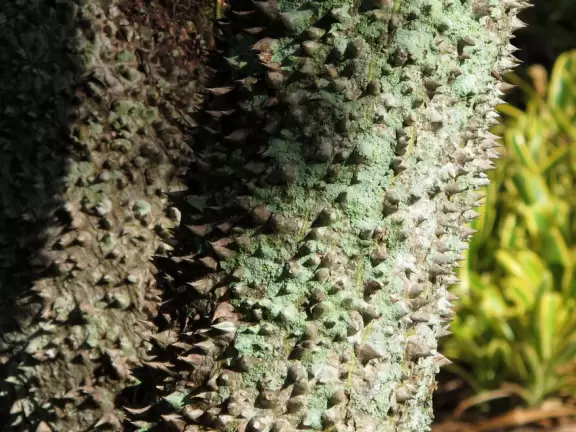 Stunning tropical-themed gardens and cute children's area.