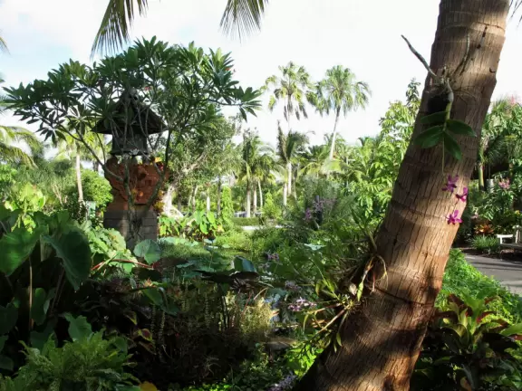 Stunning tropical-themed gardens and cute children's area.