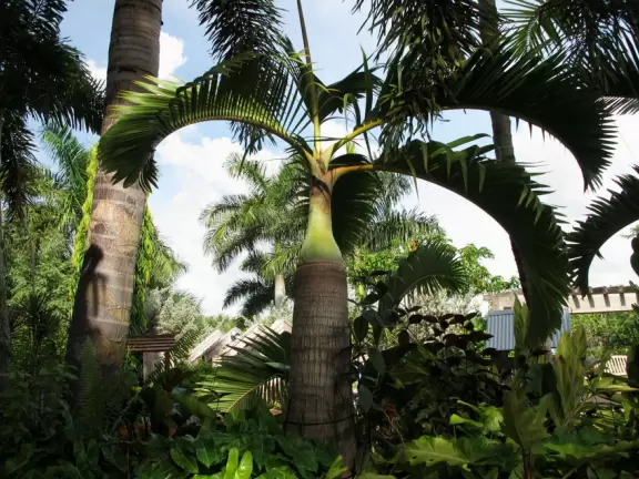 Stunning tropical-themed gardens and cute children's area.