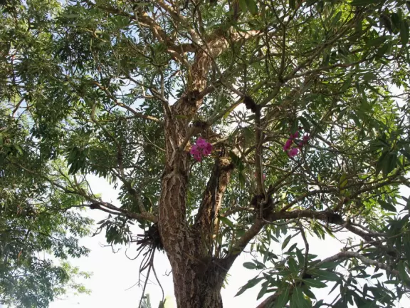 Stunning tropical-themed gardens and cute children's area.