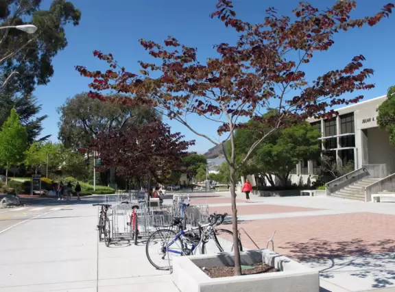 Hilly, sunny campus with tall, impressive trees and green lawns. A hands-on learning university.