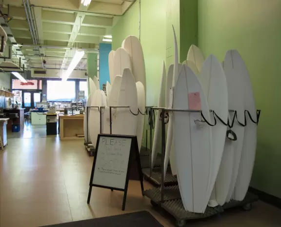 Hilly, sunny campus with tall, impressive trees and green lawns. A hands-on learning university.