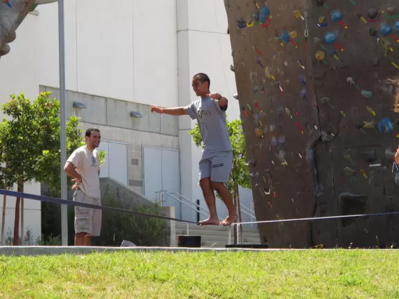 Hilly, sunny campus with tall, impressive trees and green lawns. A hands-on learning university.