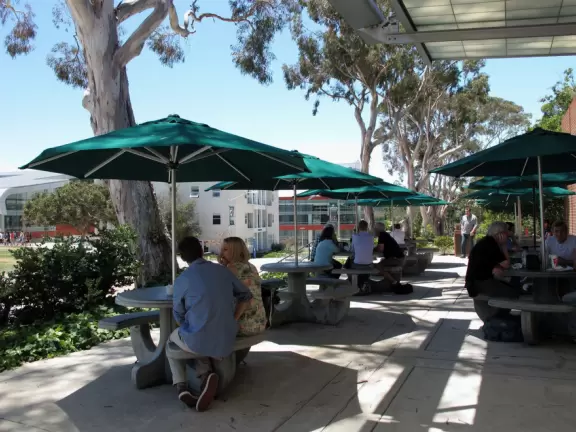 Hilly, sunny campus with tall, impressive trees and green lawns. A hands-on learning university.