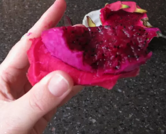 A heaven of tropical fruits, plants, flowers, coconut drinks, and hot foods. Plus the college's world-class cactus garden!