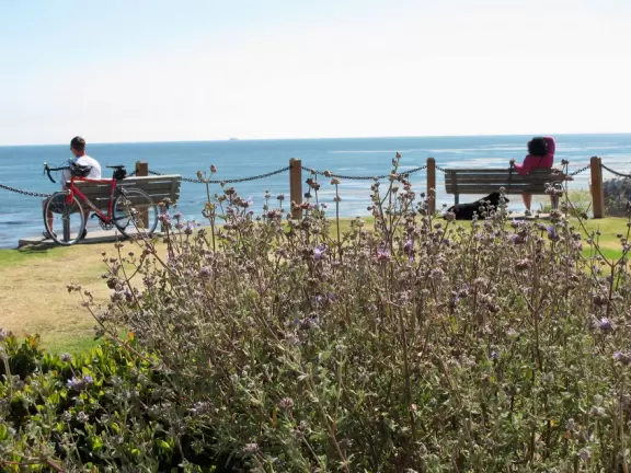 A great place to picnic or marry, with sea caves and jutting sea rocks below cliffs of hanging flowers.