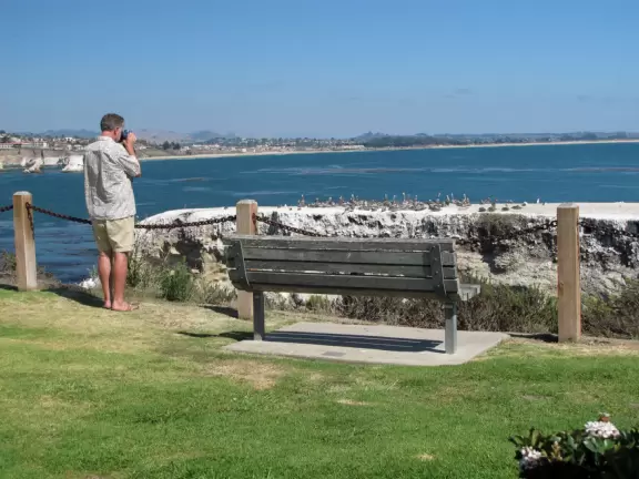 A great place to picnic or marry, with sea caves and jutting sea rocks below cliffs of hanging flowers.