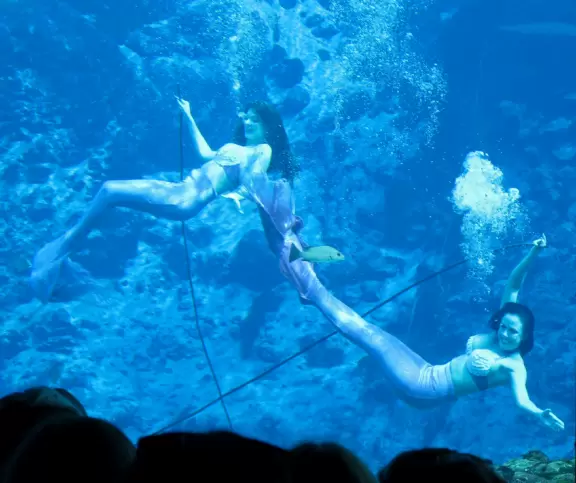Unique underwater mermaid show in a natural spring. A wonderful experience!