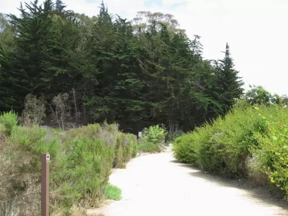 A rugged beach covered in driftwood and framed by dramatic white cliffs.