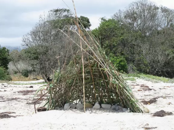 A rugged beach covered in driftwood and framed by dramatic white cliffs.