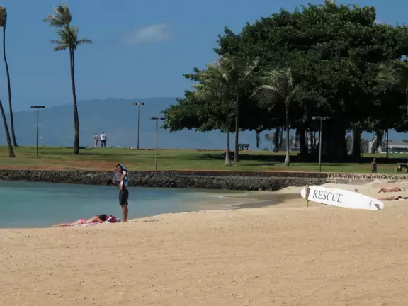 Grassy spot with coconut trees, manmade cove, and great views of Diamond Head.