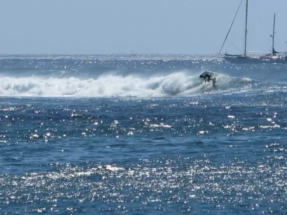 Grassy spot with coconut trees, manmade cove, and great views of Diamond Head.