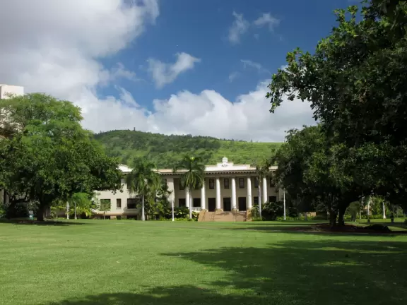 Stroll around the University of Hawaii campus and find some treasures!