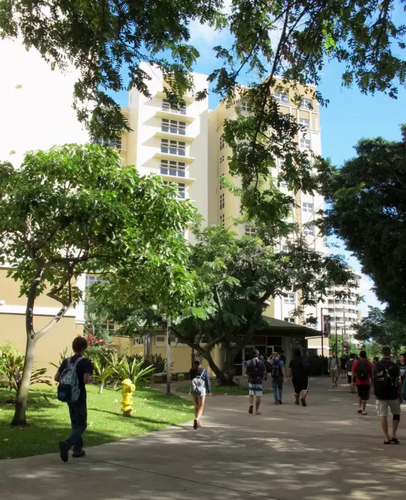 Stroll around the University of Hawaii campus and find some treasures!