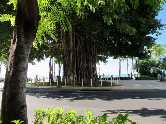 Fantastic place to swim. Also, stand under a webcam here and wave to family back home!