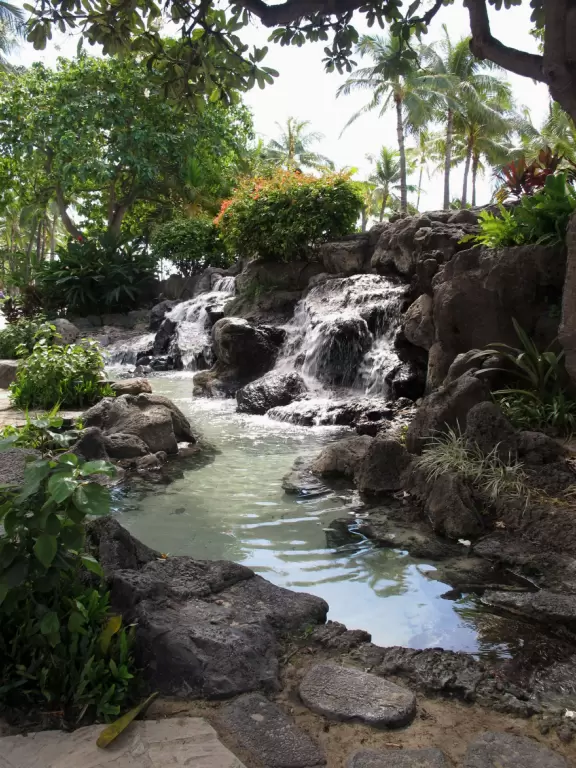 Great bodyboarding! And a 30-foot movie screen on the beach!