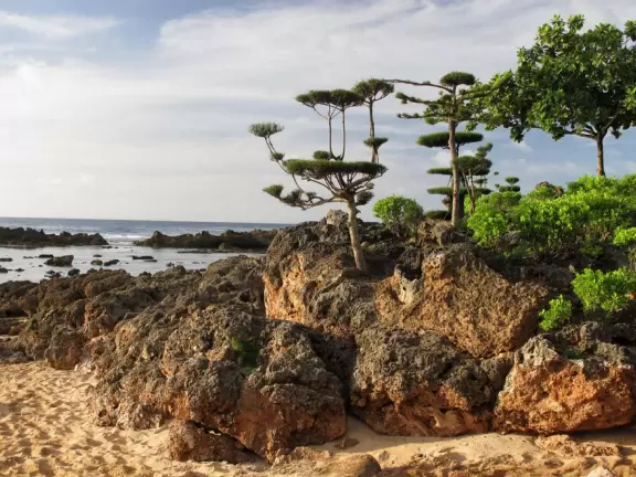 A great place to see tropical fish of all varieties!