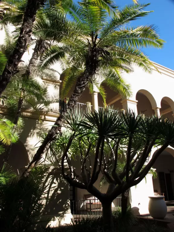 Stroll past beautiful architecture, ponds, fountains, flowers, and trees. Visit many different museums! And best of all, walk through sumptuous gardens.