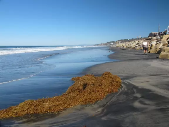 Beach with sparkling black sand, and hike atop high red cliffs with views.