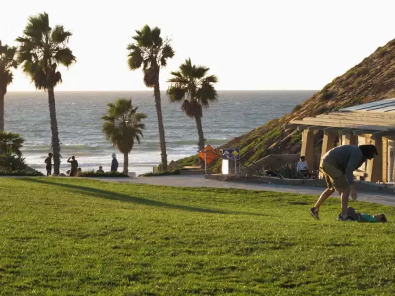 Pretty spot, with cliffs and palm trees, and lawn over the sea.