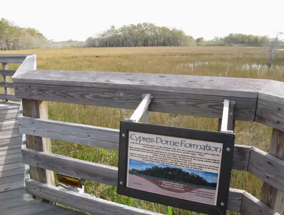 Short walk on a boardwalk among fairly plain nature.