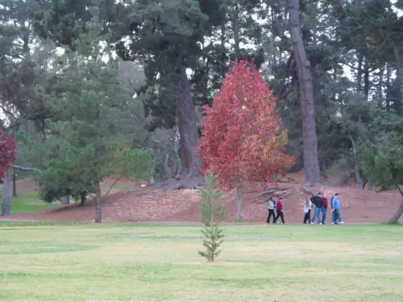 Huge park that feels like a retreat in the woods- playgrounds and pond with ducks!