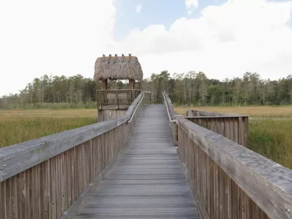 Short walk on a boardwalk among fairly plain nature.