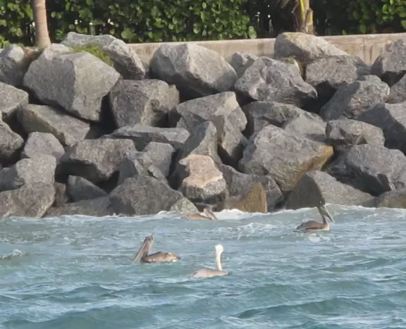 Beach where fishermen hang out on the jetty and surfers come to ride the waves at Jupiter Inlet.