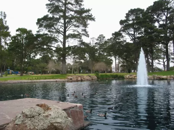 Huge park that feels like a retreat in the woods- playgrounds and pond with ducks!
