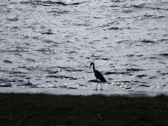 Beach where fishermen hang out on the jetty and surfers come to ride the waves at Jupiter Inlet.