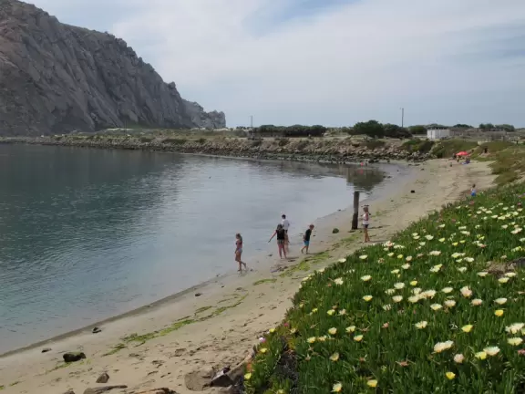 A walkway from Coleman Park to the base of Morro Rock, with views of sea otters on the left!