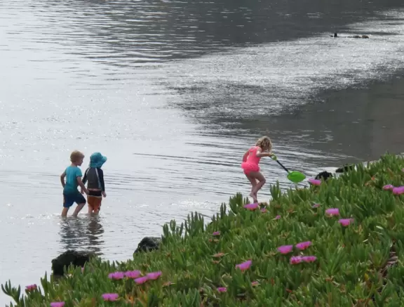 A walkway from Coleman Park to the base of Morro Rock, with views of sea otters on the left!