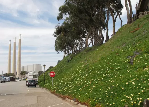 A delightful rock, beautiful wildlife, peaceful idyllic estuary, imaginative playground, and colorful little town.