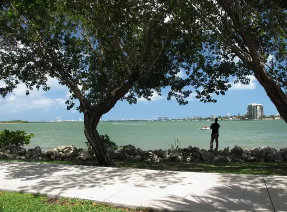 Glorious park on the bright water with a strong cooling breeze, but a little sketchy here and there.
