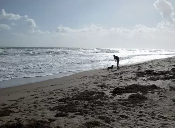 One of many beach access points leading to a shadeless beach with bright turquoise water.