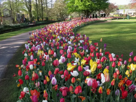 Incredible gardens, open in spring, with tulips galore, at their peak usually around the first week of May.