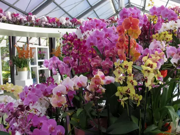 Incredible gardens, open in spring, with tulips galore, at their peak usually around the first week of May.