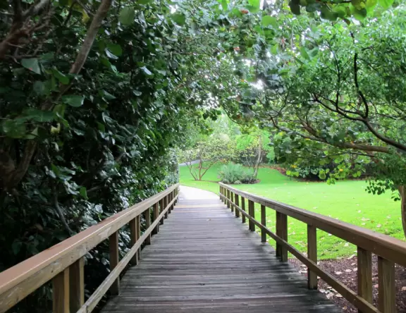 A lovely beach with a jungly backdrop and clear water.
