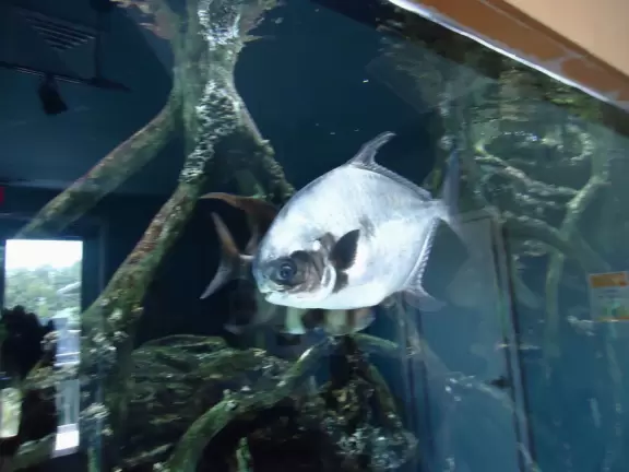 Beautiful nature center on an island in the intracoastal.