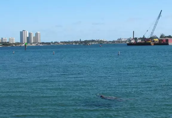 Two-level modern winter manatee viewing center with walkway by the water.