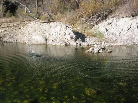 A peaceful spot for an ice-cold swim! You may even see deer run by!