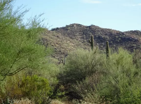 A wild west area with restaurant and gift shops, filled with great atmosphere at night.
